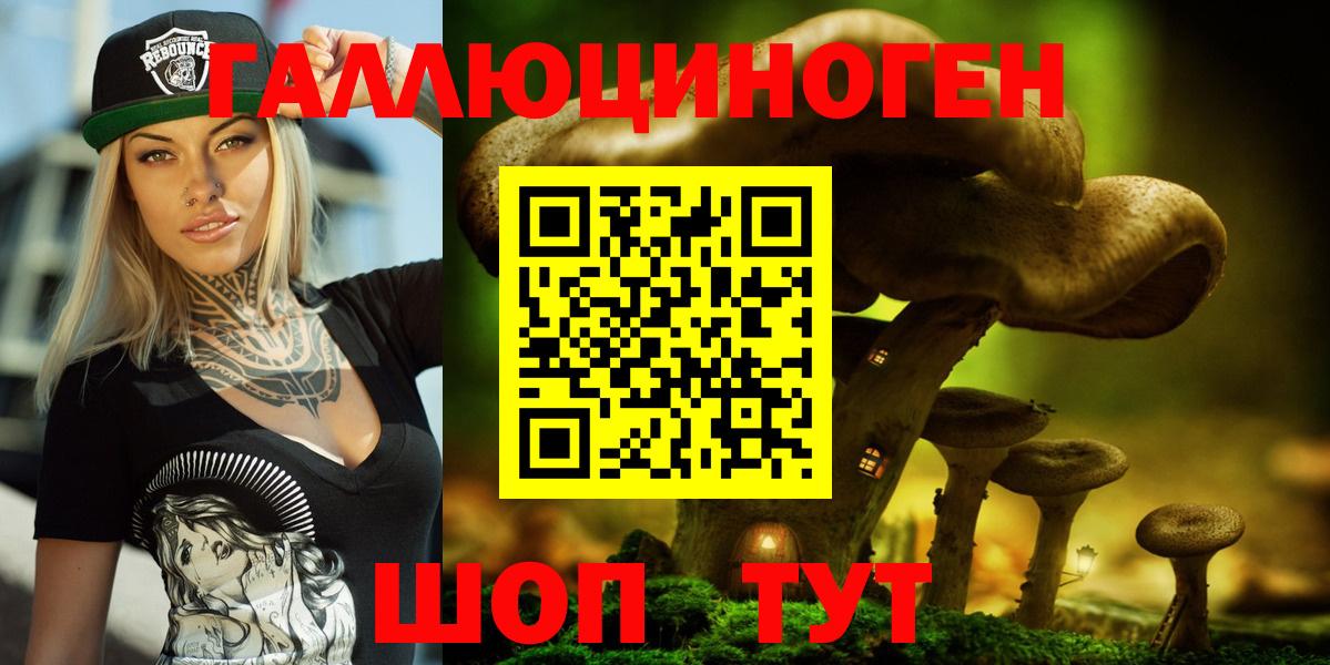 Псилоцибиновые грибы GOLDEN TEACHER  Галлюциногенные грибы мицелий  Вход с VPN  Ступино 