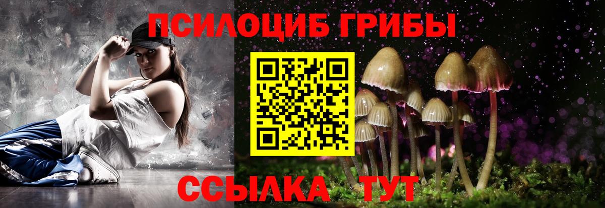 Псилоцибиновые грибы Psilocybe Ступино